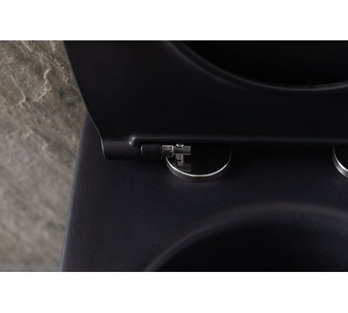 Чаша подвесного унитаза Allen Brau Reality 4.32006.31 черный матовый