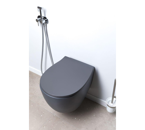 Чаша подвесного унитаза Allen Brau Fantasy 4.11004.AN антрацит