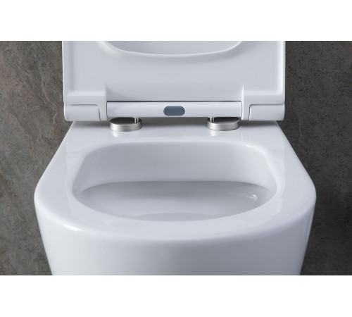 Чаша подвесного унитаза Allen Brau Priority 4.31001.20 белый глянец