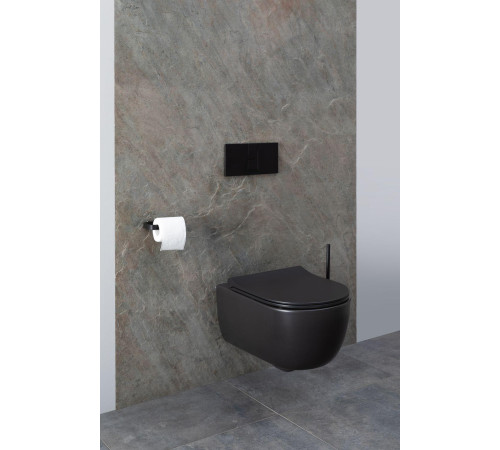 Чаша подвесного унитаза Allen Brau Priority 4.31001.31 черный матовый