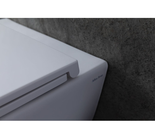 Чаша подвесного унитаза Allen Brau Reality 4.32006.20 белый глянец