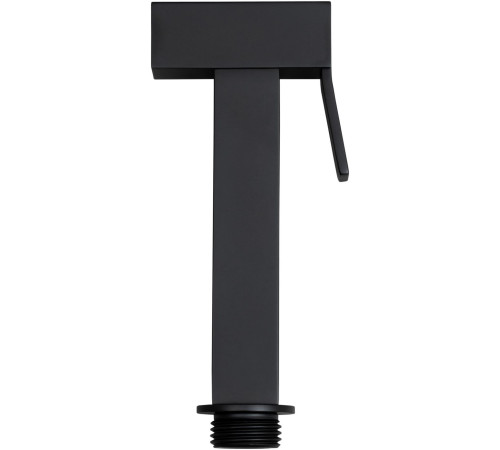 Гигиенический душ Allen Brau Infinity 5.21A05-31 черный матовый