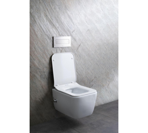 Чаша подвесного унитаза Allen Brau Liberty 4.33009.20 белый