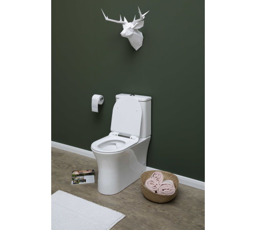 Чаша напольного унитаза Aquanet Rimless Roll-C CL-12249B