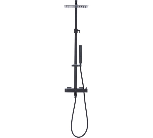 Душевая стойка Allen Brau Infinity 5.21029-31 черный матовый