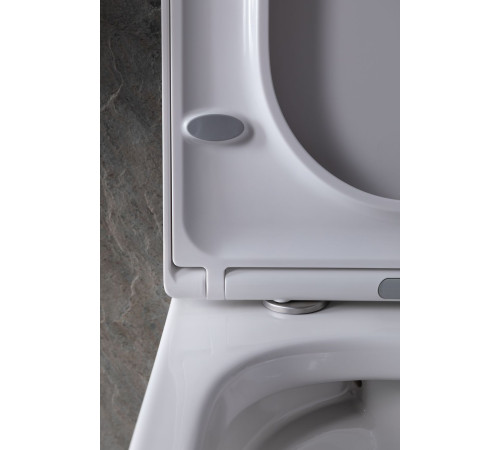 Чаша подвесного унитаза Allen Brau Infinity 4.21004.20 белый глянец