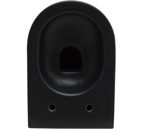 Чаша подвесного унитаза Allen Brau Reality 4.32006.31 черный матовый