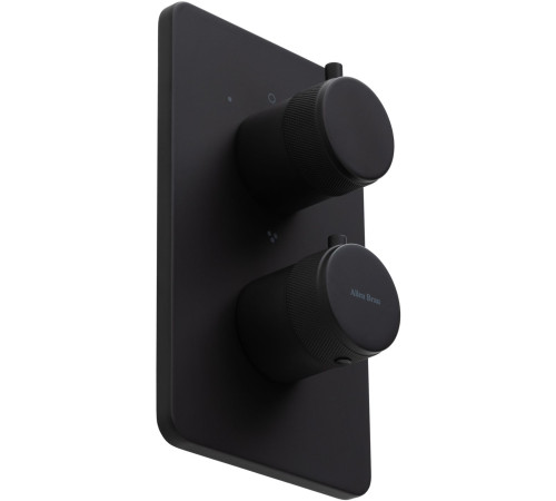 Смеситель для ванны Allen Brau Priority 5.31314-31 (с внутренней частью, 3 выхода) черный матовый