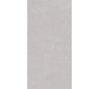 Керамогранит Про Фьюче DD593120R Светло-серый матовый 60х119.5