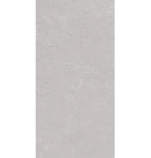 Керамогранит Про Фьюче DD593120R Светло-серый матовый 60х119.5
