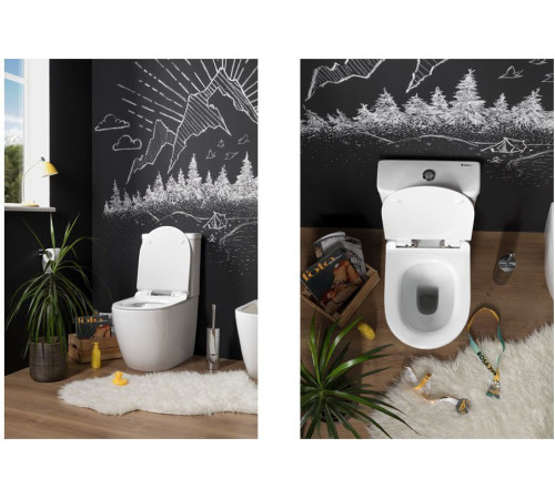 Сливной бачок Aquanet Cetus-C2 BL-102N-TPT