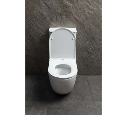 Чаша напольного унитаза Allen Brau Priority Tornado 4.31006.20 белый глянец