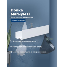 Полка Aquanet Магнум Н 60x12 белая матовая