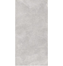 Керамогранит Про Стоун DD503820R Светло-серый матовый 60х119.5