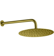 Верхний душ Allen Brau Priority 5.31A17-GB золото