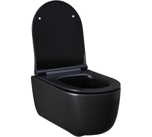 Чаша подвесного унитаза Allen Brau Priority 4.31002.31 черный матовый