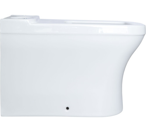 Чаша напольного унитаза Allen Brau Infinity 4.21012.20 белый глянец