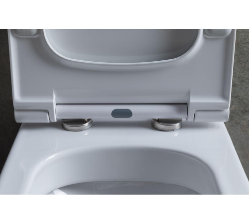 Чаша напольного унитаза Allen Brau Priority 4.31003.20 белый