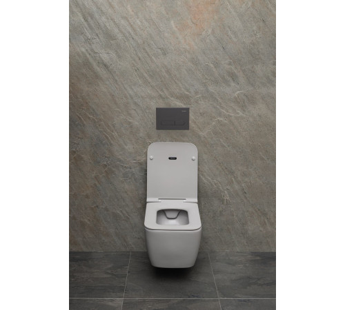 Чаша подвесного унитаза Allen Brau Liberty 4.33007.AN антрацит