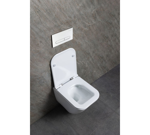 Чаша подвесного унитаза Allen Brau Liberty 4.33012.20 белый