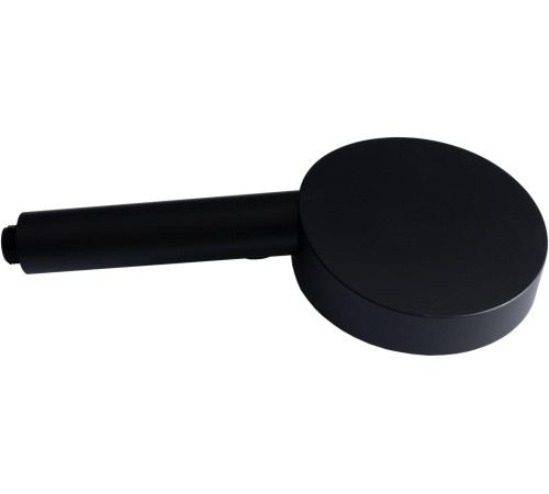 Душевая лейка Allen Brau Priority 5.31B20-31 черный матовый