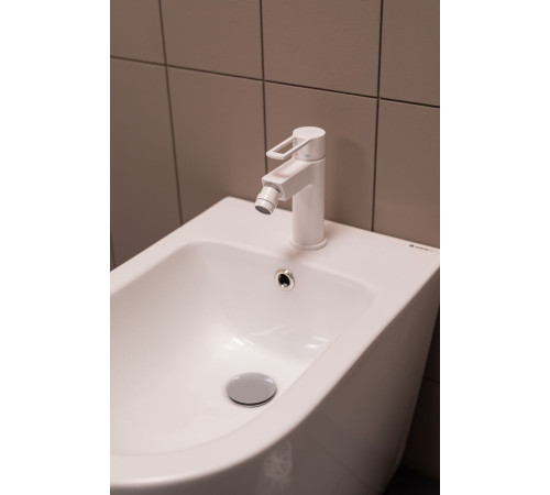 Чаша напольного унитаза Aquanet Rimless Cetus-C1 BL-102N-TPT