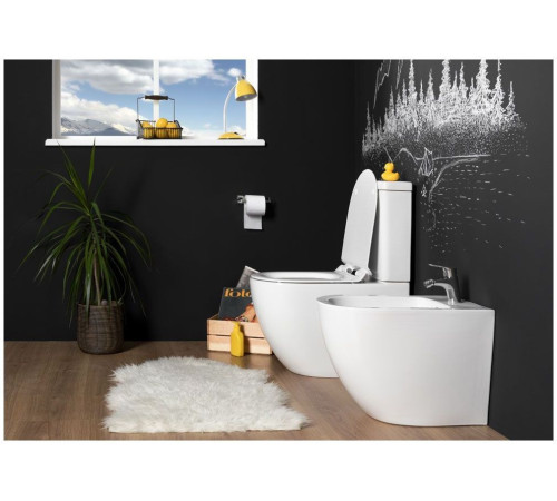 Сливной бачок Aquanet Cetus-C2 BL-102N-TPT