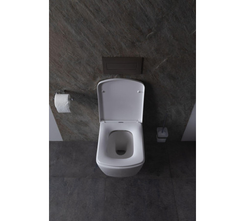 Крышка-сиденье для унитаза Allen Brau Liberty 4.33006.20 белый глянец