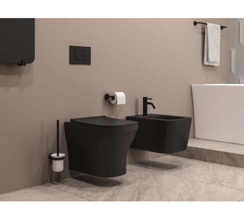 Клавиша смыва Allen Brau Liberty 9.20002.31 черный матовый