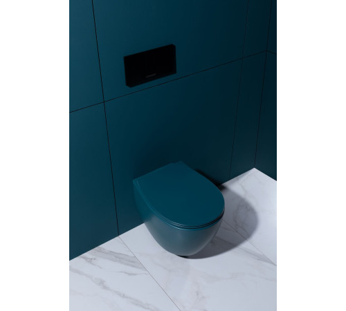 Крышка-сиденье для унитаза Allen Brau Fantasy Soft-Close 4.11005.PT петроль