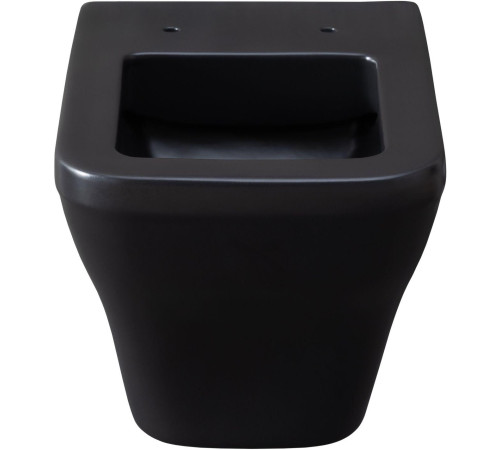 Чаша подвесного унитаза Allen Brau Infinity 4.21011.31 черный матовый