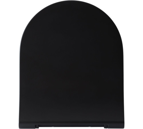 Крышка-сиденье для унитаза Allen Brau Priority 4.31004.31 черный матовый