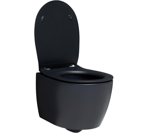 Чаша подвесного унитаза Allen Brau Fantasy 4.11004.31 черный матовый
