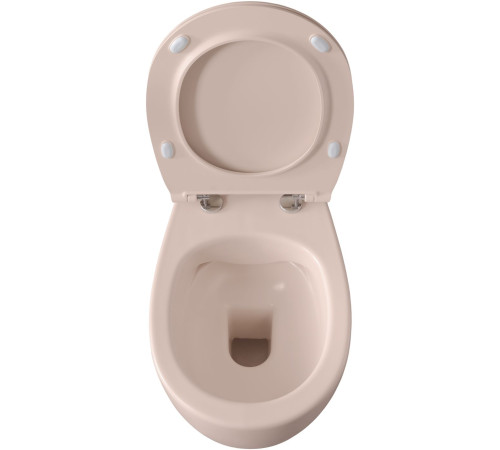 Чаша подвесного унитаза Allen Brau Fantasy 4.11004.SM розовый