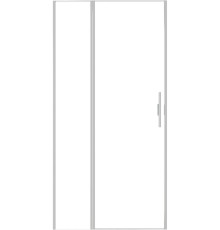 Душевая дверь Allen Brau Priority 100 3.31029.BA серебро браш