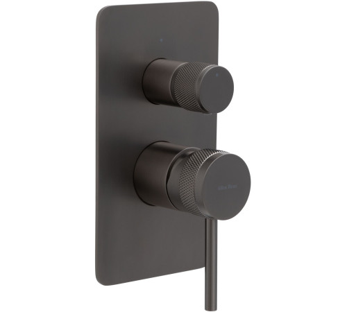 Смеситель для ванны Allen Brau Priority 5.31011-MG (с внутренней частью, 2 выхода) графит браш