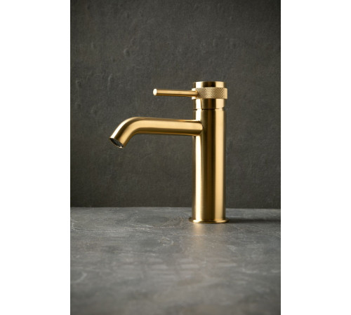 Смеситель для раковины Allen Brau Priority 5.31A01-GB золото