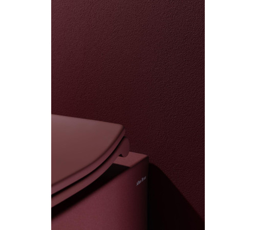 Чаша подвесного унитаза Allen Brau Fantasy 4.11004.BD бордо
