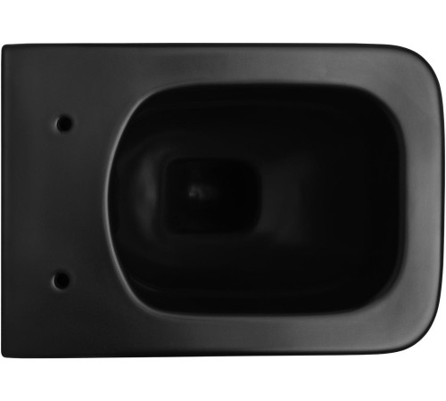 Чаша подвесного унитаза Allen Brau Liberty 4.33007.31 черный матовый