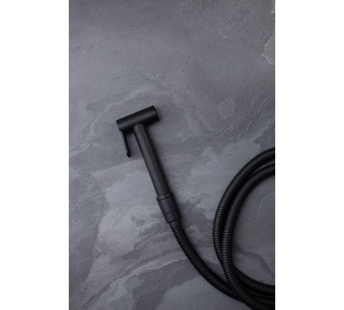 Гигиеническая лейка Allen Brau Priority 5.31028-31 черный матовый