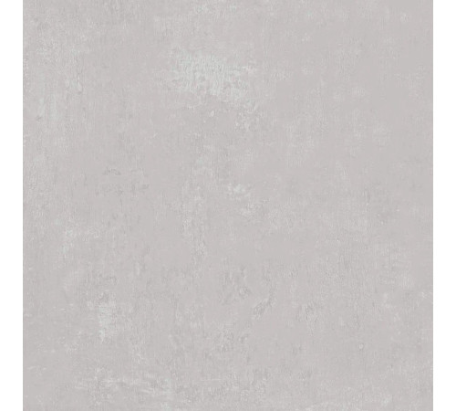 Керамогранит Про Фьюче DD640320R Светло-серый матовый 60х60