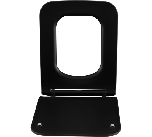 Сиденье для унитаза Allen Brau Liberty 4.33008.31 черный матовый