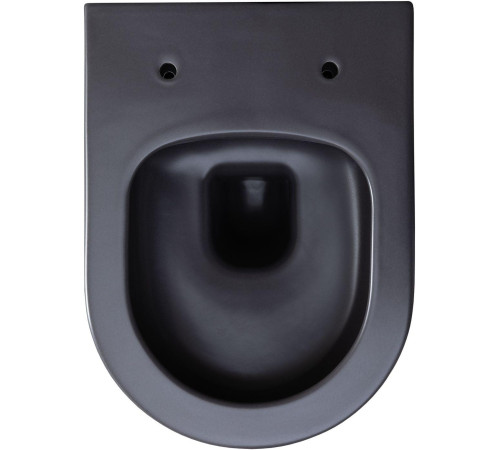 Чаша подвесного унитаза Allen Brau Priority 4.31002.AN антрацит