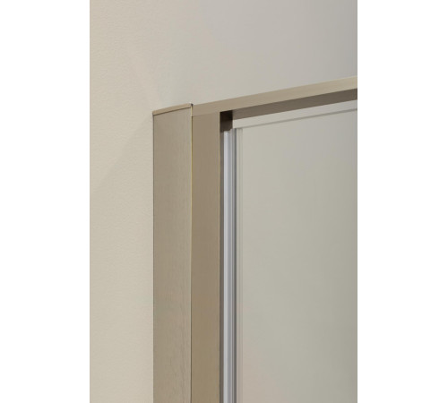 Душевая дверь Allen Brau Priority 100 3.31029.BA серебро браш