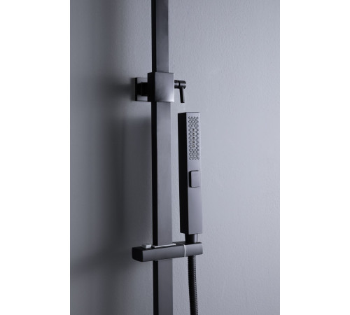 Душевая стойка Allen Brau Infinity 5.21029-31 черный матовый