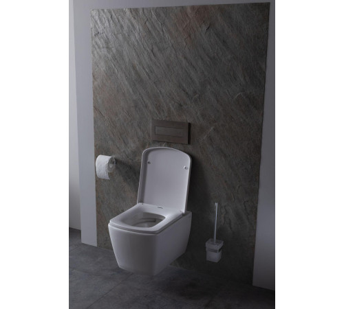 Крышка-сиденье для унитаза Allen Brau Liberty 4.33006.20 белый глянец