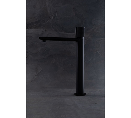 Смеситель для раковины Allen Brau Liberty 5.33002-31 черный матовый