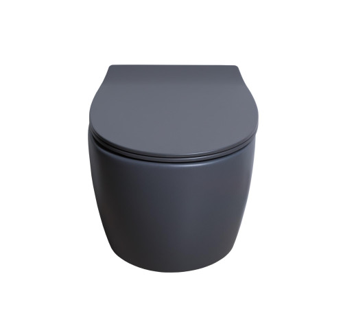 Крышка-сиденье для унитаза Allen Brau Fantasy Smartfix, Soft-Close 4.11005.AN антрацит