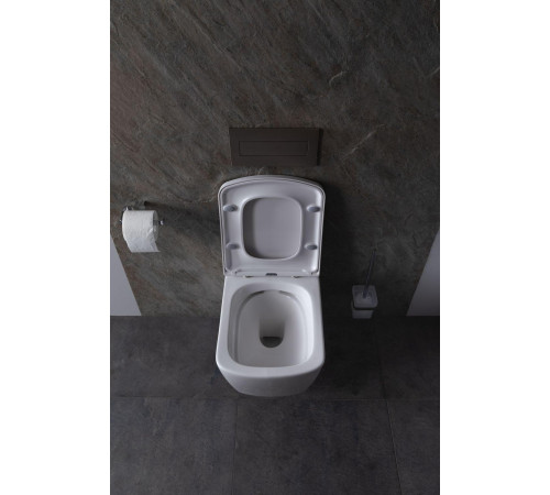 Чаша подвесного унитаза Allen Brau Liberty 4.33004.20 белый глянец