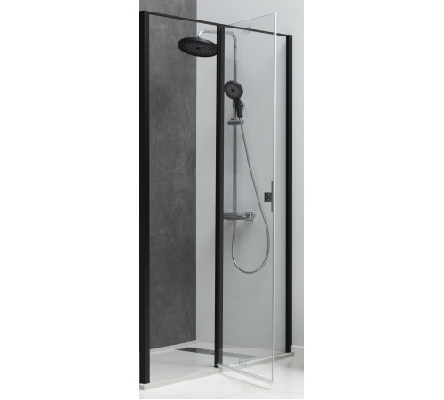 Душевая дверь Allen Brau Priority 120 3.31033.BBA черный браш